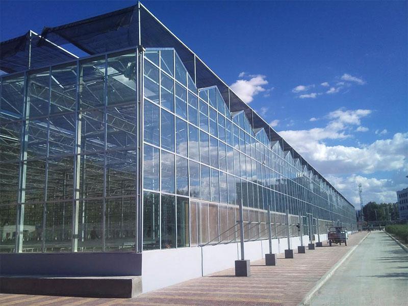 Invernadero de vidrio para cultivo de hortalizas