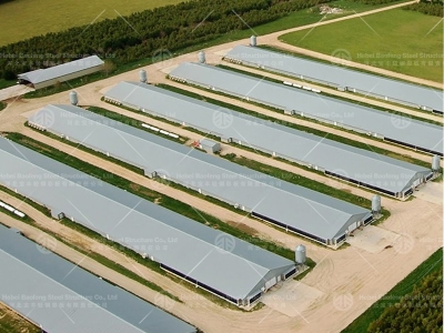 Chicken house design