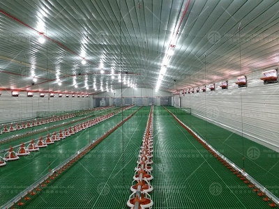 Steel Chicken House