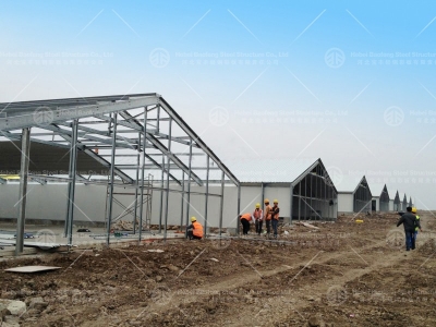 steel structure chicken house