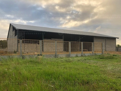 steel structure building