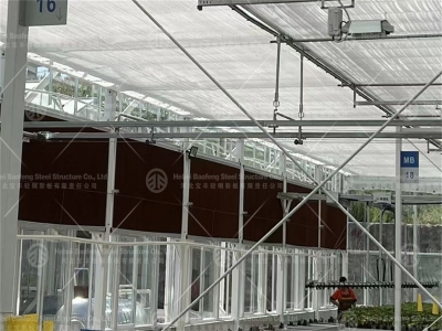 steel structure greenhouse