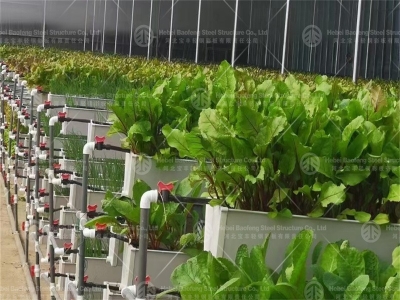 High-Tech Greenhouse